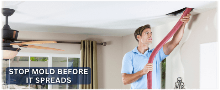 Air Duct Mold Removal in North Aurora IL